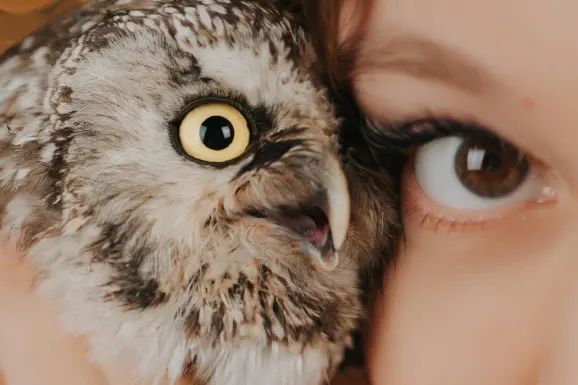 Casino Lucky 31 Tacaíocht